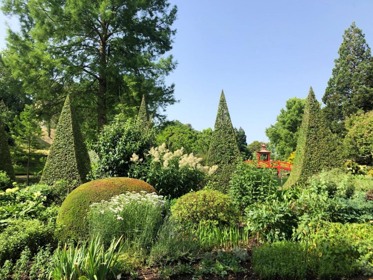 La Maison De La Tour Apremont-sur-Allier 外观 照片